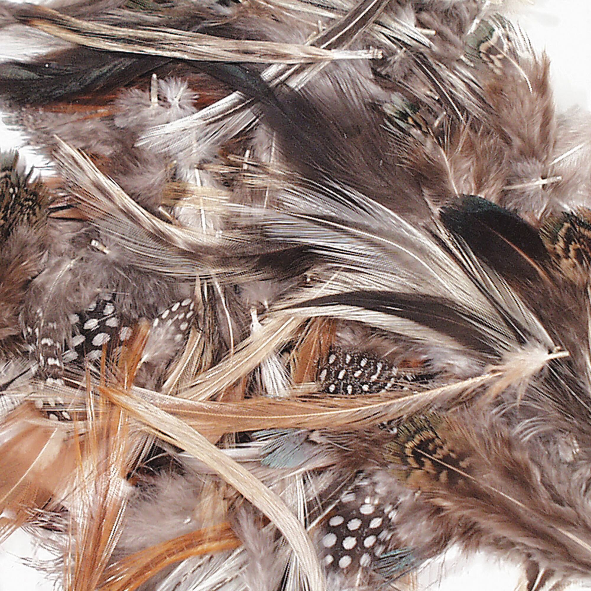 6 Packs: 3 ct. (18 total) Creativity Street® Natural Feathers, 1/2oz.